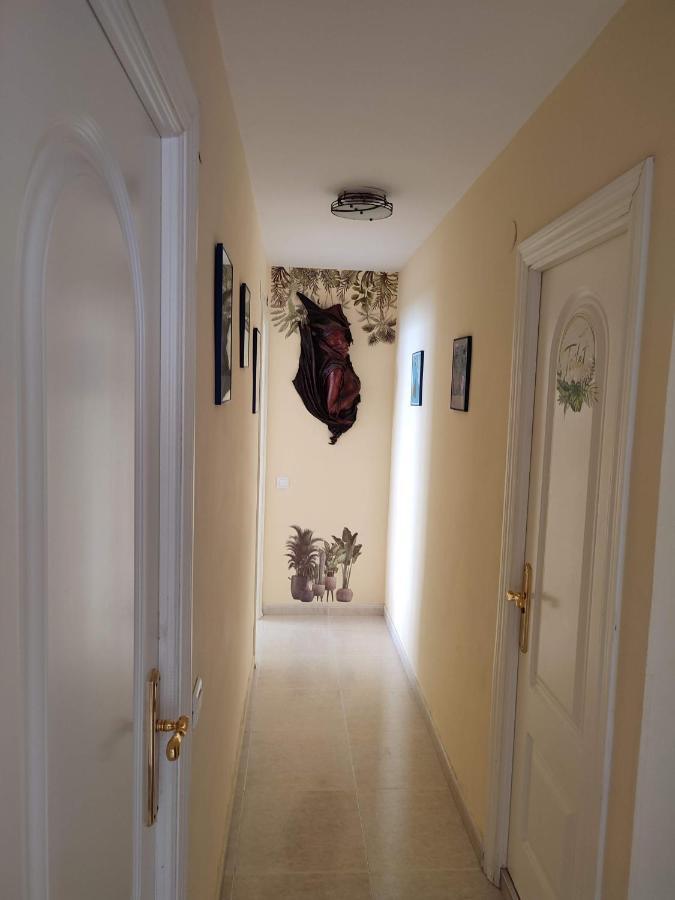 Apartamento En Playa Semi-Privada 베날마데나코스타 외부 사진